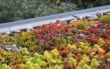 the cost of Nant Peris Or Old Llanberis green roof installation