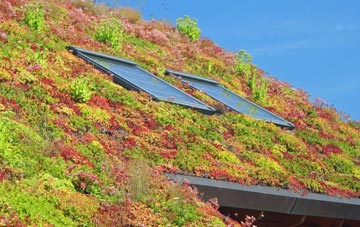 Nant Peris Or Old Llanberis living roof systems
